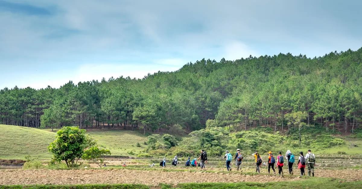 Todo lo que necesitas saber sobre el Camino de Santiago
