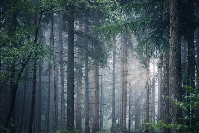 Rincones naturales de España que debes descubrir