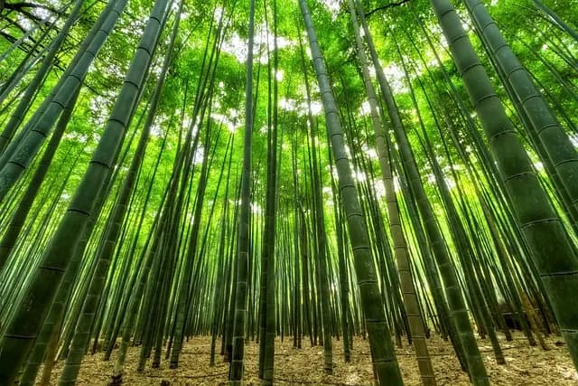 Descubre los rincones naturales que transformarán tu viaje