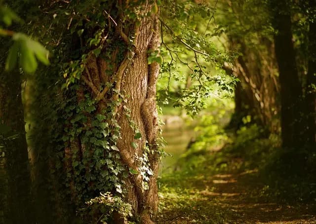Cómo explorar los rincones naturales de España que no conocías