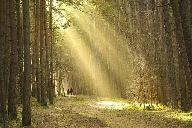 Rincones naturales de España que te sorprenderán
